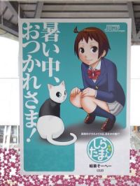 ゆりかもめ-2